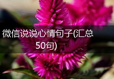 微信说说心情句子(汇总50句)