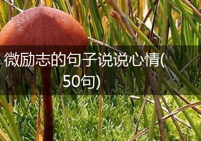 微励志的句子说说心情(50句)