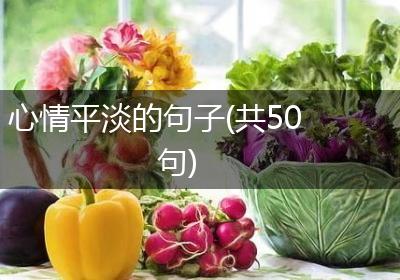 心情平淡的句子(共50句)