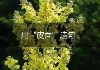 用“皮面”造句