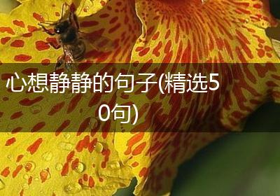 心想静静的句子(精选50句)