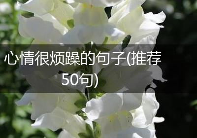 心情很烦躁的句子(推荐50句)