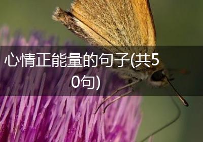 心情正能量的句子(共50句)