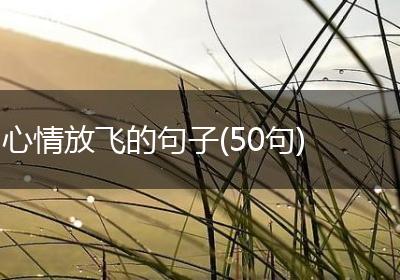 心情放飞的句子(50句)