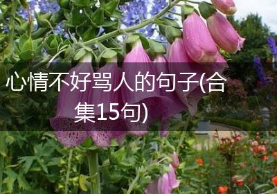 心情不好骂人的句子(合集15句)