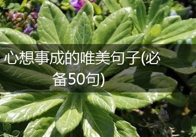 心想事成的唯美句子(必备50句)