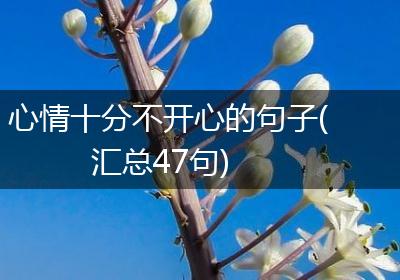 心情十分不开心的句子(汇总47句)