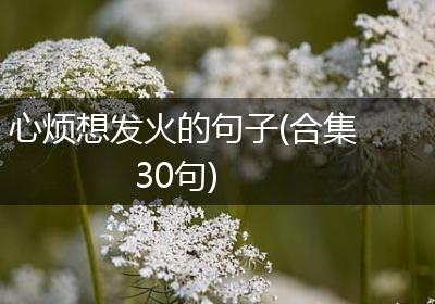 心烦想发火的句子(合集30句)