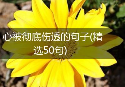 心被彻底伤透的句子(精选50句)