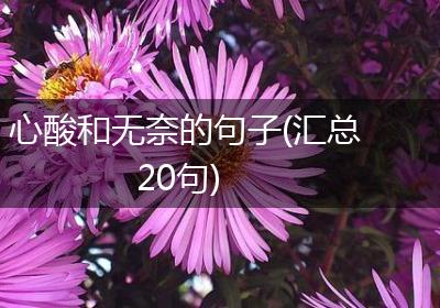心酸和无奈的句子(汇总20句)