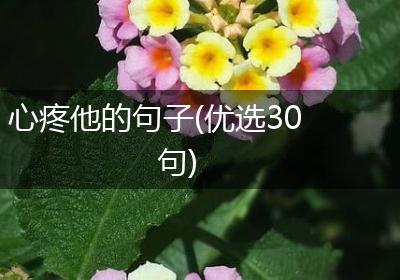 心疼他的句子(优选30句)