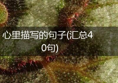 心里描写的句子(汇总40句)