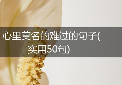 心里莫名的难过的句子(实用50句)
