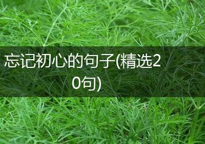 忘记初心的句子(精选20句)