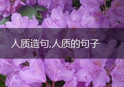 人质造句,人质的句子