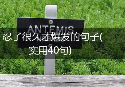 忍了很久才爆发的句子(实用40句)