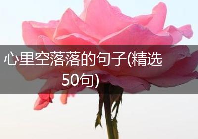 心里空落落的句子(精选50句)