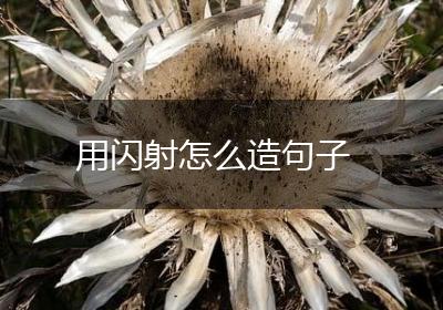 用闪射怎么造句子