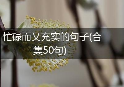忙碌而又充实的句子(合集50句)