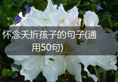 怀念夭折孩子的句子(通用50句)