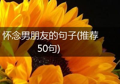 怀念男朋友的句子(推荐50句)