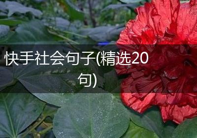 快手社会句子(精选20句)
