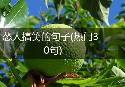 怂人搞笑的句子(热门30句)