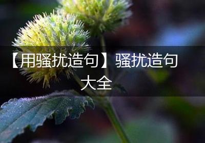 【用骚扰造句】骚扰造句大全