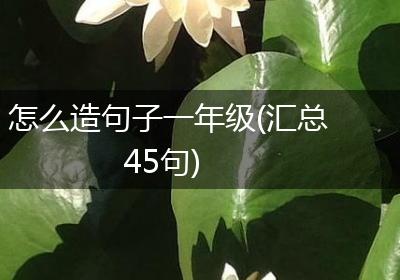怎么造句子一年级(汇总45句)