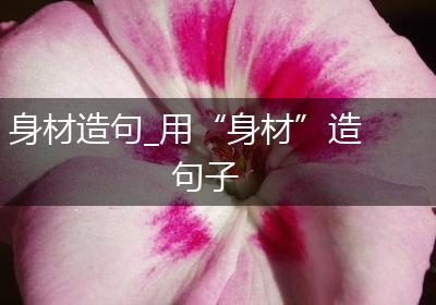 身材造句_用“身材”造句子