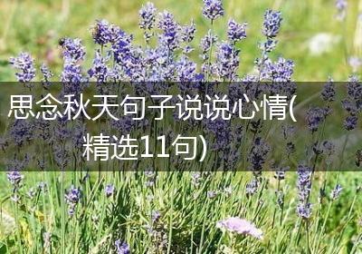 思念秋天句子说说心情(精选11句)