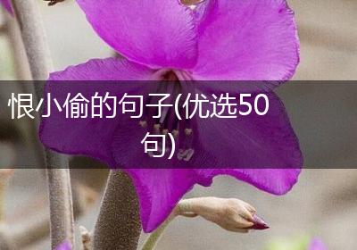 恨小偷的句子(优选50句)