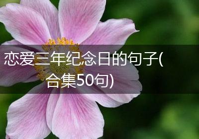 恋爱三年纪念日的句子(合集50句)
