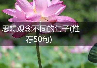 思想观念不同的句子(推荐50句)