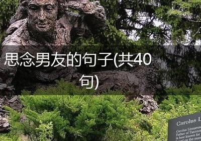 思念男友的句子(共40句)
