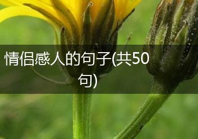 情侣感人的句子(共50句)