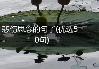 悲伤思念的句子(优选50句)