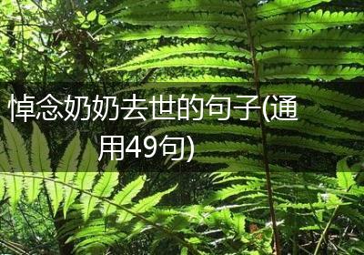 悼念奶奶去世的句子(通用49句)