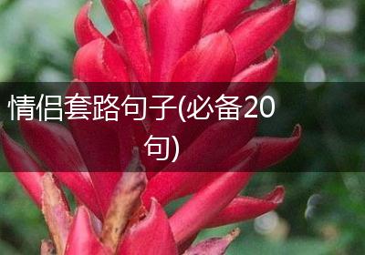 情侣套路句子(必备20句)