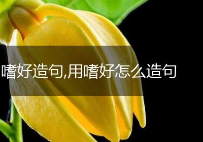 嗜好造句,用嗜好怎么造句