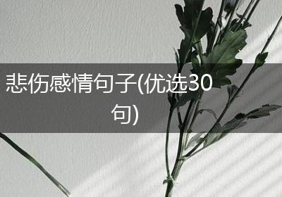 悲伤感情句子(优选30句)