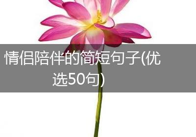 情侣陪伴的简短句子(优选50句)