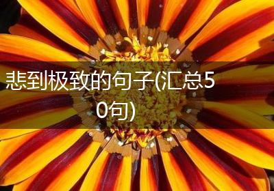 悲到极致的句子(汇总50句)