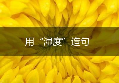 用“湿度”造句