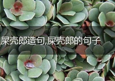 屎壳郎造句,屎壳郎的句子