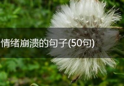 情绪崩溃的句子(50句)