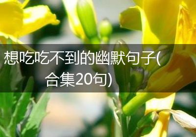 想吃吃不到的幽默句子(合集20句)