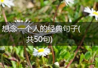 想念一个人的经典句子(共50句)
