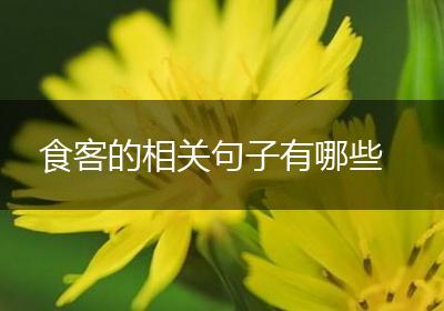 食客的相关句子有哪些