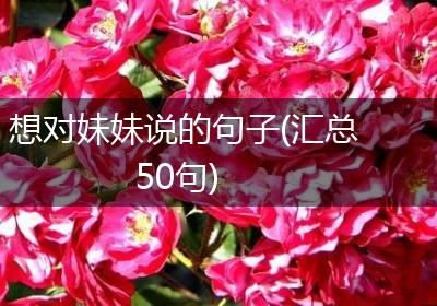 想对妹妹说的句子(汇总50句)